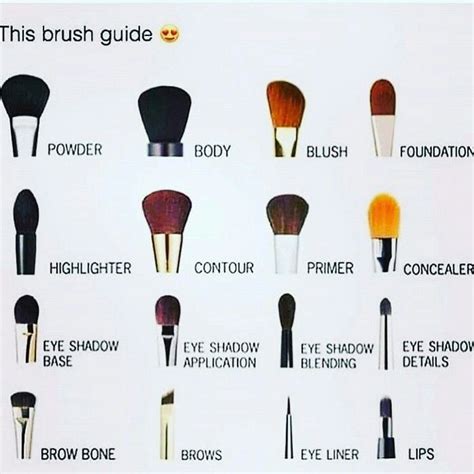 7 Best Makeup Brushes And Their Uses With For Beginners Trabeauli