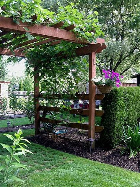 40 Inspiring Grape Vine Ideas To Beautify Your Garden Trendehouse In