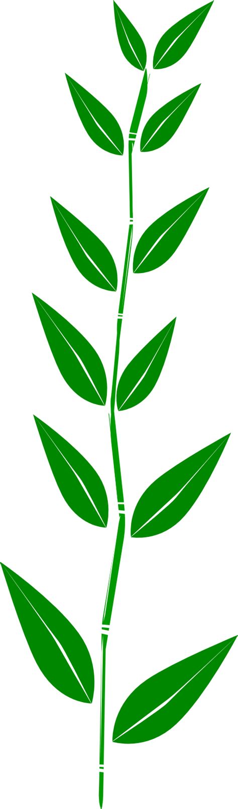 Green Leaf Clipart Clipart Image 10267