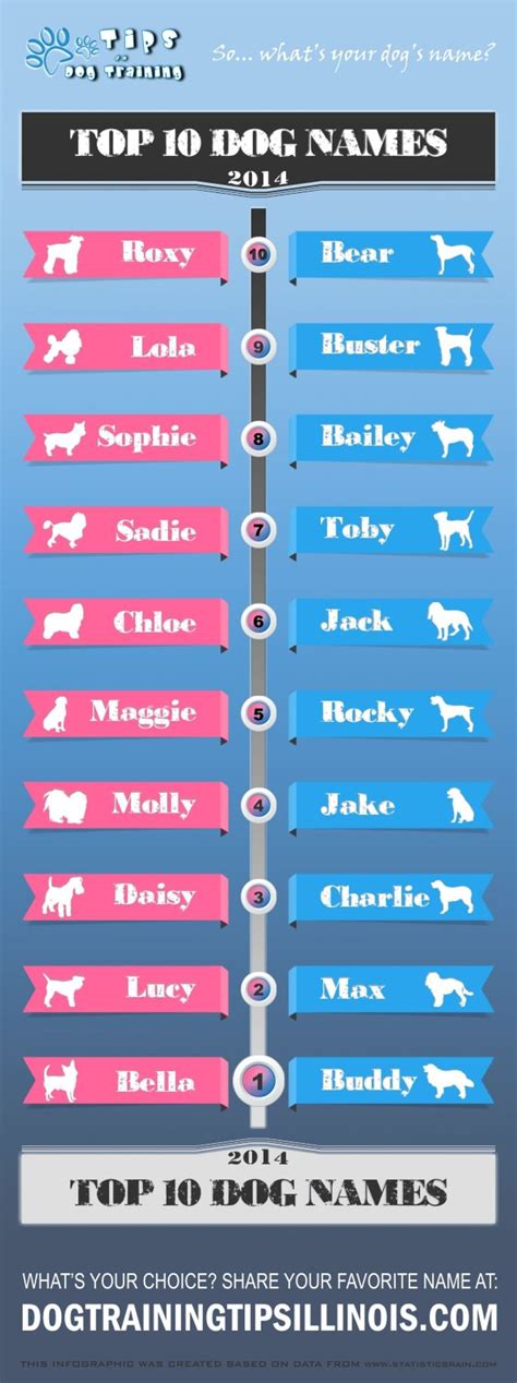 Top Ten Dog Names For 2014 Male And Female Dog Names Puppies Names