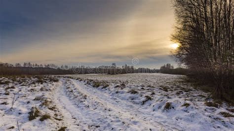 Winter Meadows With Snow Stock Image Image Of Meadows 106915839