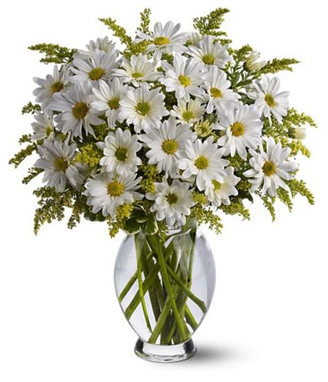 Classic White Daisy Bouquet Fresh Flowers Online Delivery Flower