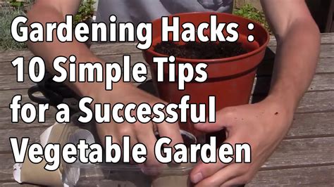 10 Quick And Easy Gardening Tips Wise Gardening