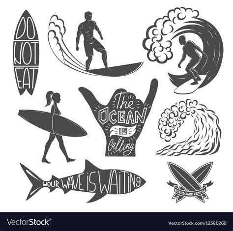 Set Of Surfing Vintage Design Elements Surf Logo Vector Image
