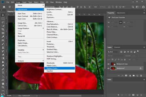 Photoshop Replace Color Step By Step Guide For Beginner