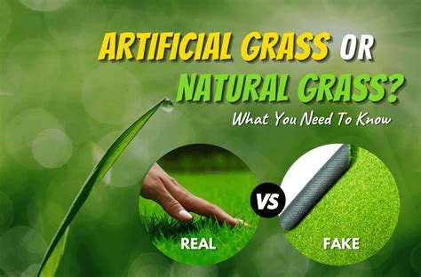 Natural Grass Vs Artificial Turf Experigreen