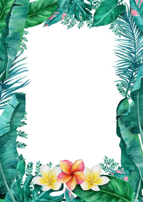 botanical tropical leaves frame watercolor 22613034 png