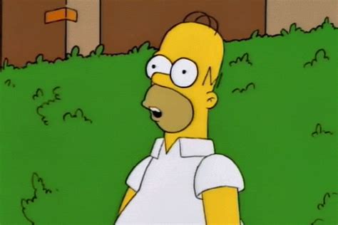 Homero Simpsons Gif Homero Simpsons High Discover Share Gifs Sexiz Pix