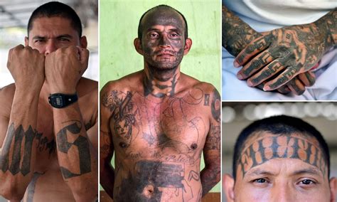 Share More Than 75 Ms 13 Gang Tattoo Latest Ineteachers