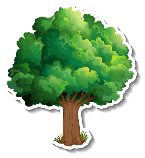 Vector Graphics Of Wide Roots Oak Tree Public Domain Vectors Clip