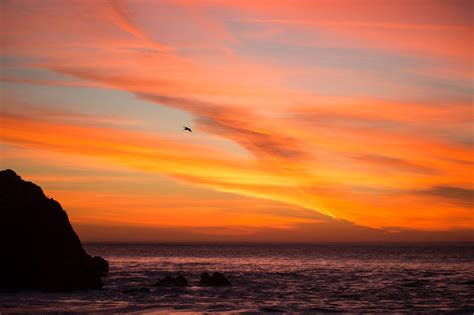 Wallpaper Birds Sunset Sea Shore Beach Sunrise Evening Coast