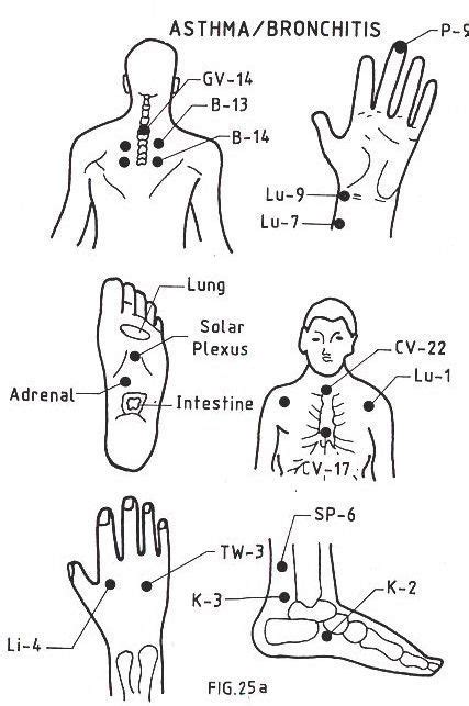 Pressure Points For Healthy Living Acupressure Therapy Acupressure