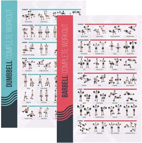 Fitmate Dumbbell And Barbell Bundle Workout Exercise Poster Workout Routine 1 Smith’s Food