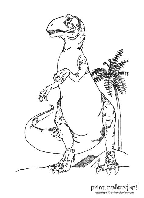 Dinosaur T Rex Print Color Fun