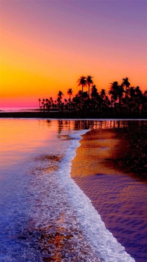 Summer Jewelry Tips Sunsets Hawaii Palm Tree Sunset
