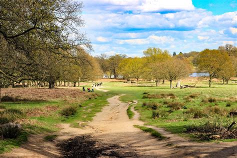 5 Magic Things To Do In Richmond Park London Candace Abroad