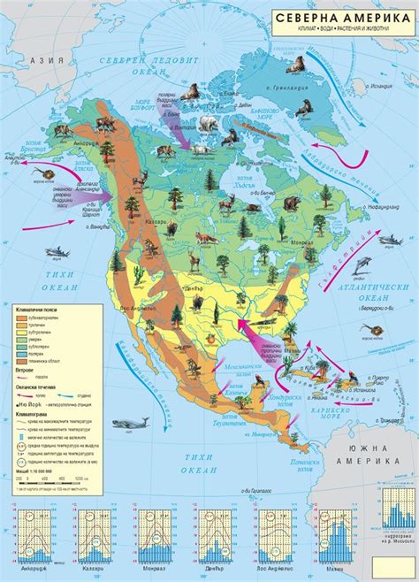 Стенна климатична карта на Северна Америка Storebg