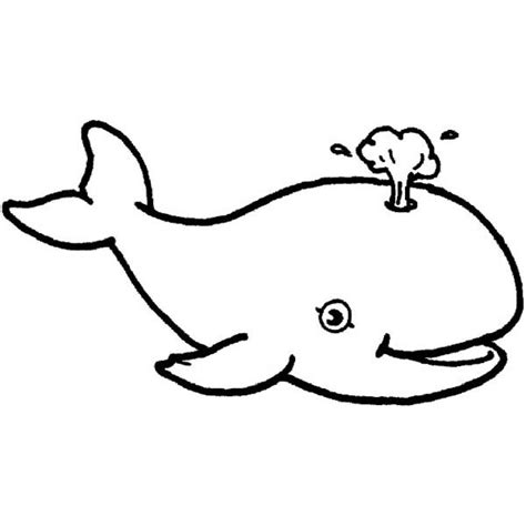 Cute Whale With Blowhole Sea Animals Coloring Page Free Clipart