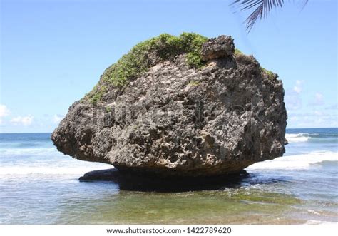 Mushroom Rock Bathsheba Beach Stock Photo 1422789620 Shutterstock