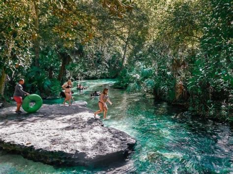 12 Best Natural Springs Near Tampa You Gotta See Florida Vacationers