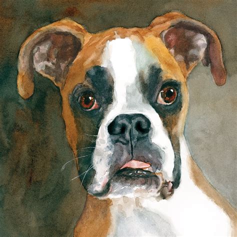 Boxer Print Of Watercolor Dog Painting Dog Portrait Pet