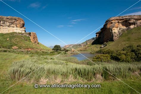 Photos And Pictures Of Glen Reenen Rest Camp Golden Gate Highlands