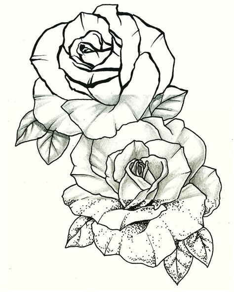 Traditional Rose Drawing At Explore Collection Of