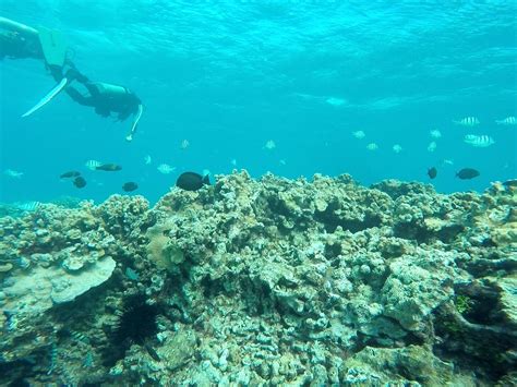 Molokai Fish And Dive Center Kaunakakai All You Need To Know Before