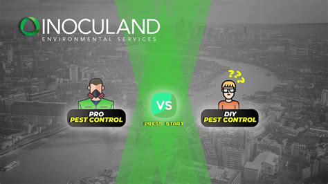 Are you debating using professional pest control vs. Professional pest control Vs DIY (do-it-yourself) pest control