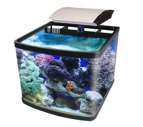 Small Aquarium Saltwater Fish Aquarium Design Ideas