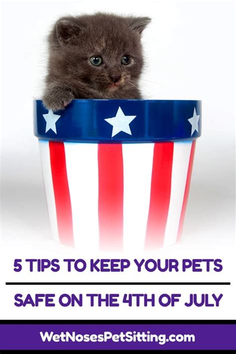 5 Tips To Keep Your Pets Safe On The 4th Of July Wet Noses Pet Sitting