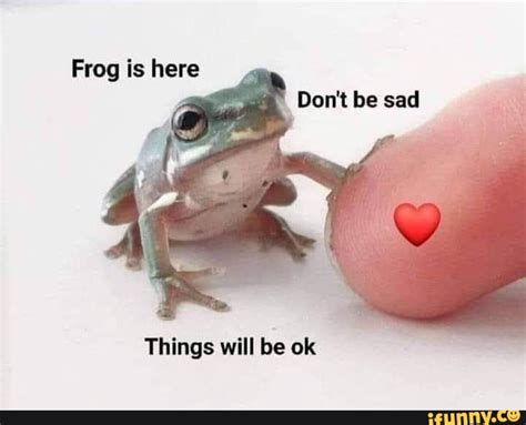 Frog Is Here Dont Be Sad Ri Things Will Be Ok Ifunny