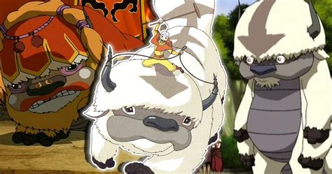 20 Things You Didnt Know About Appa From Avatar The Last Airbender