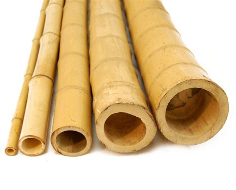 Natural Bamboo Poles 3 X 5 5 Poles Buy Online In United Arab
