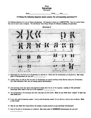 Terms in this set (23). Answer Key 14.1 Human Chromosomes Worksheet Answers + My PDF Collection 2021