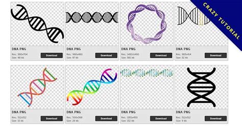 DNA PNG圖像可以免費下載 Crazypng 免費去背圖庫PNG下載 Crazypng 免費去背圖庫PNG下載