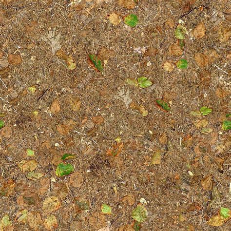 Photo14063568ground Cover Seamless Texture Tile