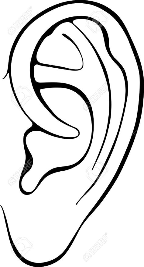 Ear Png And Ear Clipart Free Download Free Transparent Png Logos