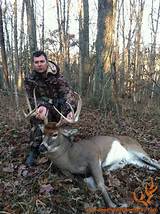 Kentucky Whitetail Deer Outfitters Images