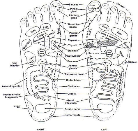 Location Of Chakras In Hand And Feet Healing Reflexology Chakra