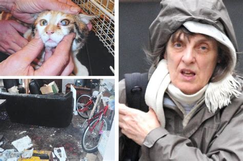 Woman Found Living In Squalor With 31 Cats Banned From Keeping Pets For