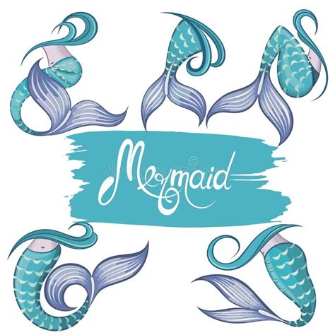 Mermaid Tail Vector Graphic Illustration Stock Vector Illustration Of