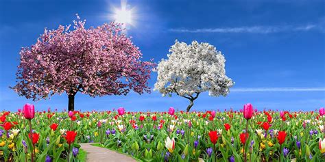 Hd Wallpaper Nature Landscape Garden Spring Season Flowers