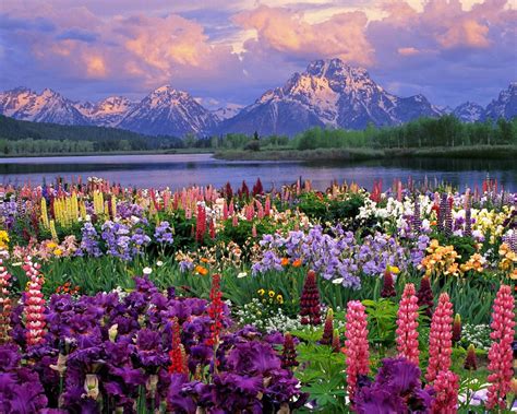 Godtoldmetonoise Spring Mountain Landscape