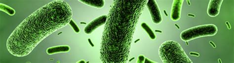 New Research Shows Certain Antibiotic Resistant Infections Are On The Rise