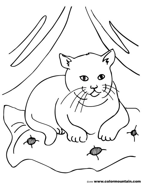 Download and print these kitty cat coloring pages for free. Fluffy Cat Coloring Pages at GetColorings.com | Free ...