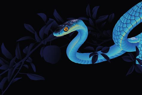 Smth Is Wrong Snakes Behance