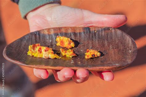 Fotka „hand Of Woman Holds On A Bush Tucker Food With Pieces Of