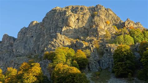 Sergey Aleksandrov Central Balkan National Park Nature Guide