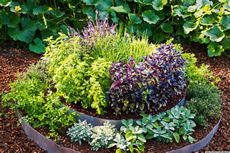 A raised flower trough can still hold plenty of blooms with some herbs added in to the fun. 10 Raised Bed Garden Ideas | HuffPost